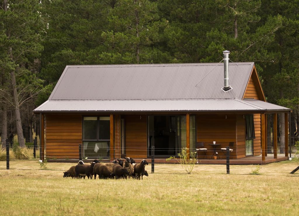 Woodbank Park Cottages Hanmer Springs Ruang foto
