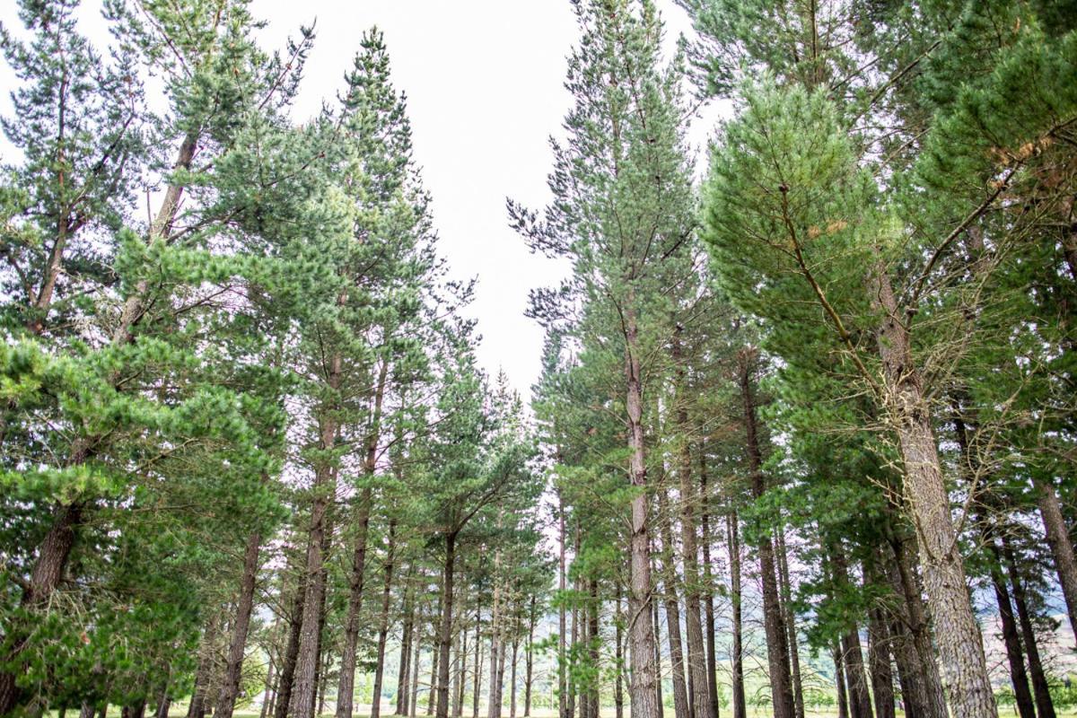 Woodbank Park Cottages Hanmer Springs Bagian luar foto